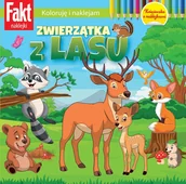 Czasopisma - Fakt Naklejki - miniaturka - grafika 1