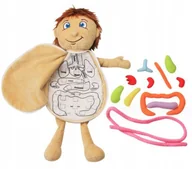Lalki dla dziewczynek - Zabawka Pluszowa Narządy Anatomia Zabawki Dla Dzieci Miękka Lalka - miniaturka - grafika 1