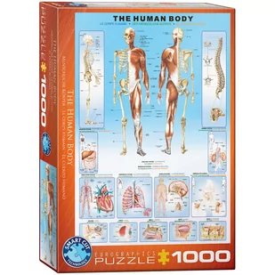 Eurographics z ludzkiego ciała 1000 elementów puzzle - Puzzle - miniaturka - grafika 2