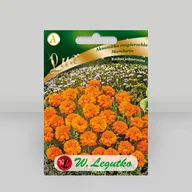 Nasiona i cebule - Aksamitka rozpierzchła Mandarin Pomarańczowa 0,5g - Nasiona - W. Legutko - miniaturka - grafika 1
