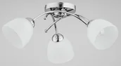 Lampy sufitowe - Alfa TAVOLO 27223 Plafon sufitowy 3x60W/E27 - miniaturka - grafika 1
