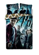 Pościel dla dzieci - Pościel młodzieżowa Harry Potter 001 160x200cm + poduszka 70x80cm - Zamów do 16:00, wysyłka kurierem tego samego dnia! - miniaturka - grafika 1