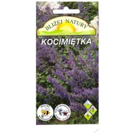 Nasiona i cebule - Kocimiętka 0,1 g - miniaturka - grafika 1