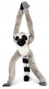 Maskotka Małpka Lemur z magnesami - 43cm - Maskotki i pluszaki - miniaturka - grafika 1