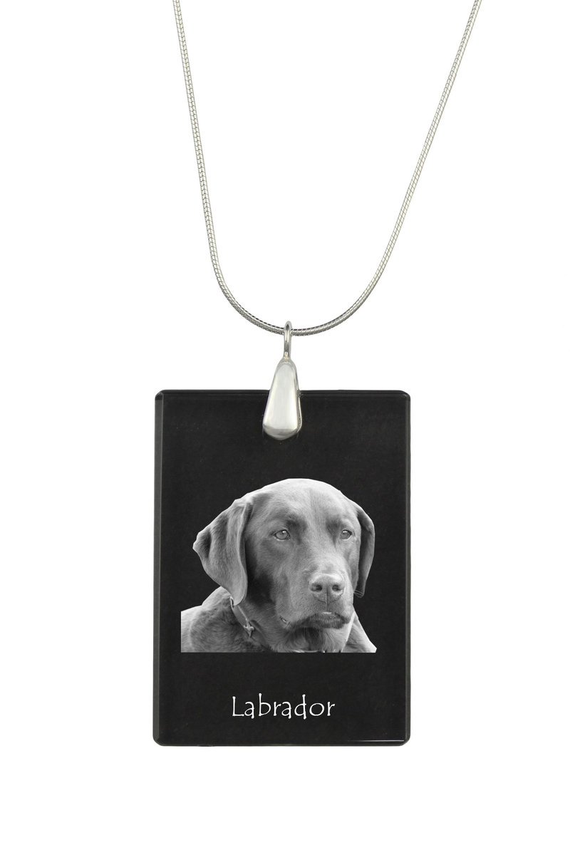 Labrador Retriever - kryształowa zawieszka z psem, srebrny naszyjnik ze zdjęciem, personalizowany wisiorek marki Art-Dog