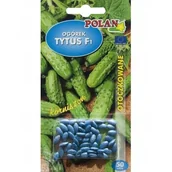 Nasiona i cebule - OGÓREK OTOCZKA TYTUS GRUNTOWY 50Z - miniaturka - grafika 1