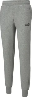 Puma Puma Essentials Logo Pants 586714-03 szary XXL - Spodnie sportowe męskie - miniaturka - grafika 1