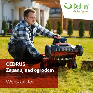 CEDRUS WR01-H 6 KM HONDA GP200 - Wertykulatory i aeratory - miniaturka - grafika 27
