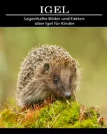 Oferty nieskategoryzowane - Igel: Sagenhafte Bilder und Fakten über Igel für Kinder - miniaturka - grafika 1