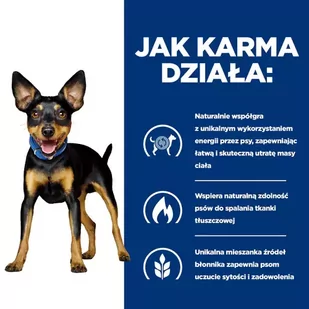 HILL'S PD Prescription Diet Metabolic Mini Canine 1kg - Sucha karma dla psów - miniaturka - grafika 4