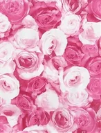 Decoupage - Papier Do Decoupage 30 X 40 Cm Fda573, Decopatch - miniaturka - grafika 1