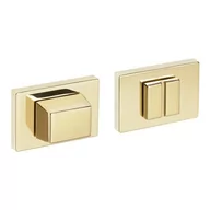 Szyldy i rozety - Rozeta VDS prostokątna R76F złoty WC - miniaturka - grafika 1