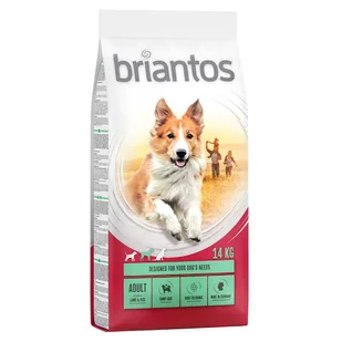 briantos Adult 14 kg - Sucha karma dla psów - miniaturka - grafika 2
