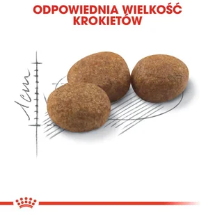ROYAL CANIN  Sterilised 4kg karma sucha dla kotów dorosłych, sterylizowanych + niespodzianka dla kota GRATIS! - Sucha karma dla kotów - miniaturka - grafika 11