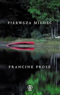 Literatura obyczajowa - Pierwsza miłość - miniaturka - grafika 1