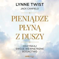 Audiobooki - poradniki - Pieniądze płyną z duszy. Odzyskaj swoje wewnętrzne bogactwo - miniaturka - grafika 1