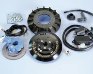 Części motocyklowe - ZAPŁON VESPA 125 ET3 DIGIT.C.20 - miniaturka - grafika 1