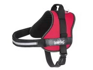 Szelki dla psów - Szelki Dla Psa, Jullieta, Czerwone, Xxl, 83 X 110Cm - miniaturka - grafika 1