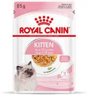 Mokra karma dla kotów - Royal Canin Kitten w galaretce - 24 x 85 g - miniaturka - grafika 1