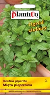 Nasiona i cebule - NASIONA Mięta Pieprzowa 0,1g PLANTICO 424111 - miniaturka - grafika 1