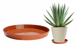 Podstawka drewnopodobna pod doniczkę terakota 19 cm - Donice - miniaturka - grafika 1