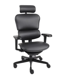 Fotel ergonomiczny Ergohuman 2 Ultra LE01, do biura, obrotowy, skórzany, gamingowy - Fotele gamingowe - miniaturka - grafika 1