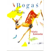 Pomoce naukowe - G&P Oficyna Wydawnicza Rogaś Z Doliny Roztoki - Maria Kownacka BR G&P - miniaturka - grafika 1