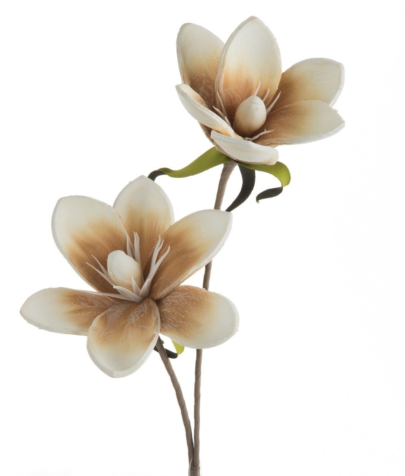 Eurofirany Sztuczny kwiat magnolia beżowa 70 cm gałązka z kwiatami x6