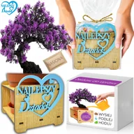 Nasiona i cebule - Prezent na DZIEŃ DZIADKA Drzewko Szczęścia bonsai super dziadek babcia - miniaturka - grafika 1