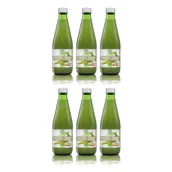 Soki i napoje niegazowane - Bio Food Sok z pietruszki kiszonej nfc Zestaw 6 x 300 ml Bio - żywność - miniaturka - grafika 1