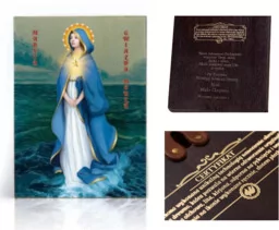 Ikona religijna Maryja Gwiazda Morza - STELLA-MARIS - Ikony i obrazy sakralne - miniaturka - grafika 1