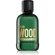 Wody i perfumy męskie - Dsquared2 Green Wood woda toaletowa 100 ml dla mężczyzn - miniaturka - grafika 1
