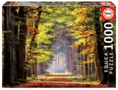 Puzzle - G3 Puzzle 1000 Jesienny spacer - miniaturka - grafika 1