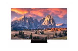 LG 65EP5G-B signage display Płaski panel Digital Signage 165,1 cm (65") OLED 185 cd/m² 4K Ultra HD Czarny WebOS 12/7 - Monitory reklamowe i wyświetlacze - miniaturka - grafika 1