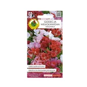 Nasiona i cebule - Godecja Wielkokwiatowa Mieszana nasiona 1 g Pnos - miniaturka - grafika 1