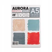 Podobrazia, bloki, papiery - Blok AURORA Bristol Smooth 300g/m2 A5 - miniaturka - grafika 1