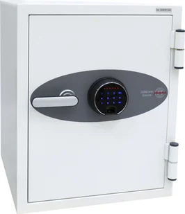 Phoenix Sejf Safe Datenschutztresore - Data Safes Data CARE DS2002F Fingerpr. Sp - Sejfy i kasy pancerne - miniaturka - grafika 1