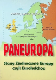 Paneuropa - Historia świata - miniaturka - grafika 1