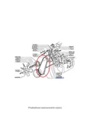 Części i akcesoria do maszyn rolniczych - CNH PAS NAPĘDU POMPY HYDRAULICZNEJ LAVERDA 340433151 - miniaturka - grafika 1