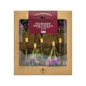 Herbata - DARY NATURY Herbatka liofilizowana Ogrody Południa EKO, 5szt. - >>> DARMOWA od 149zł <<<- - miniaturka - grafika 1