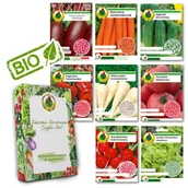 Nasiona i cebule - NASIONA WARZYW ZESTAW PNOS sałata papryka ogórek POMIDOR 8x SASZETEK - miniaturka - grafika 1