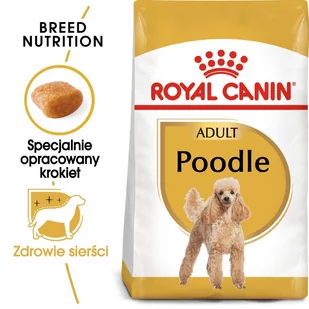 Royal Canin Poodle Adult 1,5 kg - Sucha karma dla psów - miniaturka - grafika 1