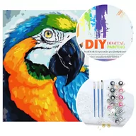Malowanie po numerach - Malowanie po numerach W6504 Papuga - miniaturka - grafika 1