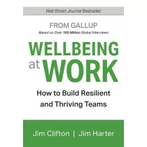 GALLUP PR Wellbeing at Work - Pozostałe książki - miniaturka - grafika 1