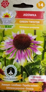 Jeżówka Green Twister Bylina Miododajna 0,3 G - Nasiona i cebule - miniaturka - grafika 1