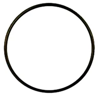 Uzdatniacze wody - Oring O-ring Uszczelka Filtr Wody Osmoza do Filtrów i Korpusów Narurowych - miniaturka - grafika 1
