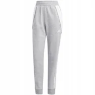 Dresy damskie - Spodnie damskie adidas Tiro 24 Sweat szare IS1011 XL - miniaturka - grafika 1