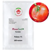 Nasiona i cebule - Pomidor Palava F1 100 nasion - WegAna - miniaturka - grafika 1