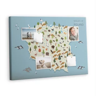 Korkowa Plansza z Pinezkami - 100x70 - Polska Mapa zwierząt - Tablice i flipcharty - miniaturka - grafika 1