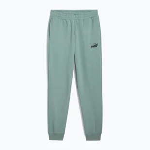 Spodnie męskie PUMA ESS No. 1 Logo Sweatpants TR CL - Spodnie sportowe męskie - miniaturka - grafika 1